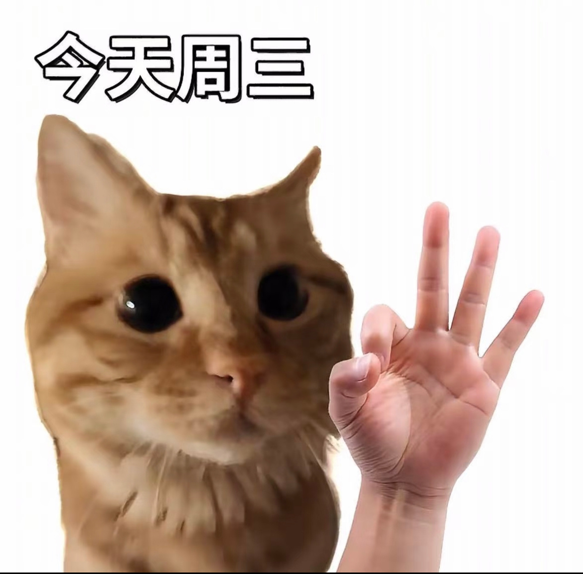 早上好家人们！一周过半，恭喜咱撑到了星期三卷妹的唠嗑早安