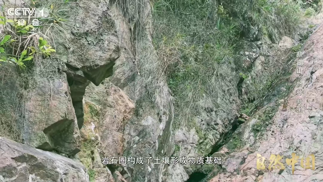 土壤的土腥味从何而来 广东鼎湖山科考发现，土腥味是土壤“活着”的证明，来自微生物