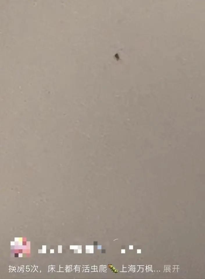 花近千住高档酒店，连换5间房都有虫爬！酒店回应更气人
 
花七八百住万豪旗下的高