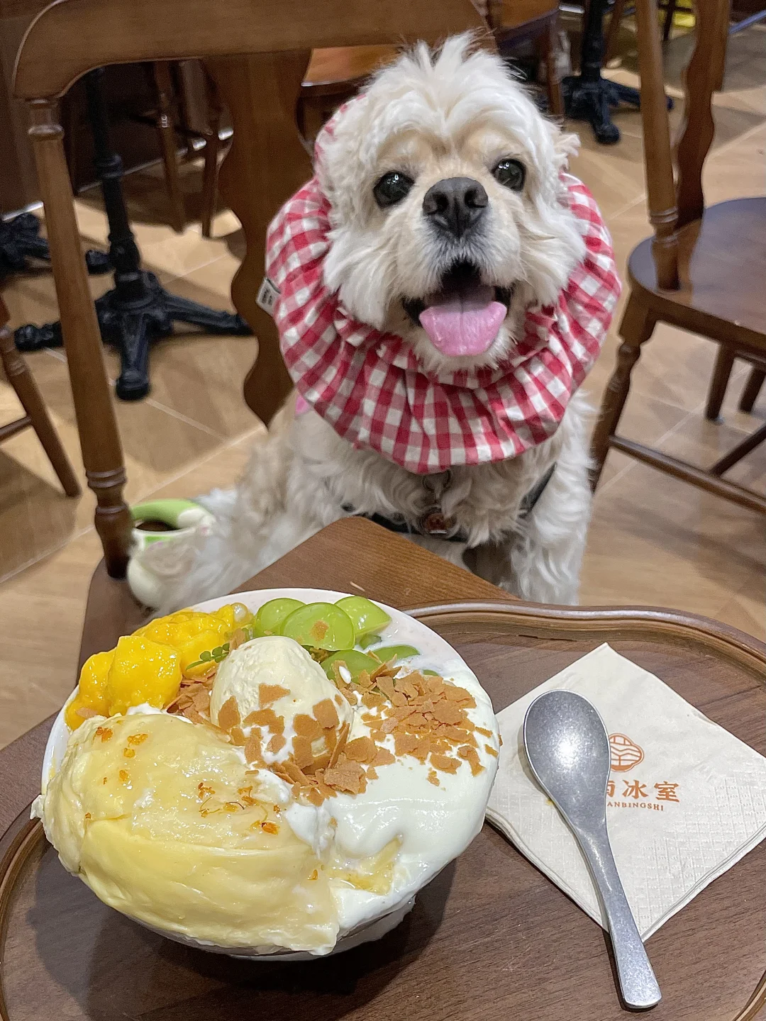 在深圳！值得反复去的温馨小店🍧（5/100