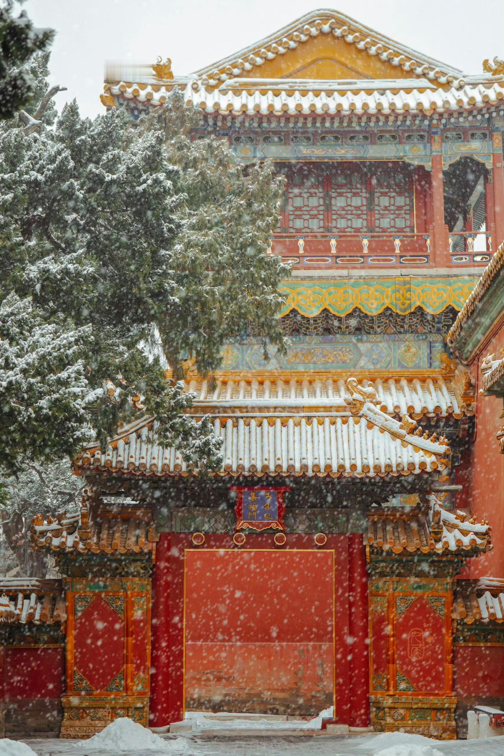 下雪了下雪了故宫下雪了 