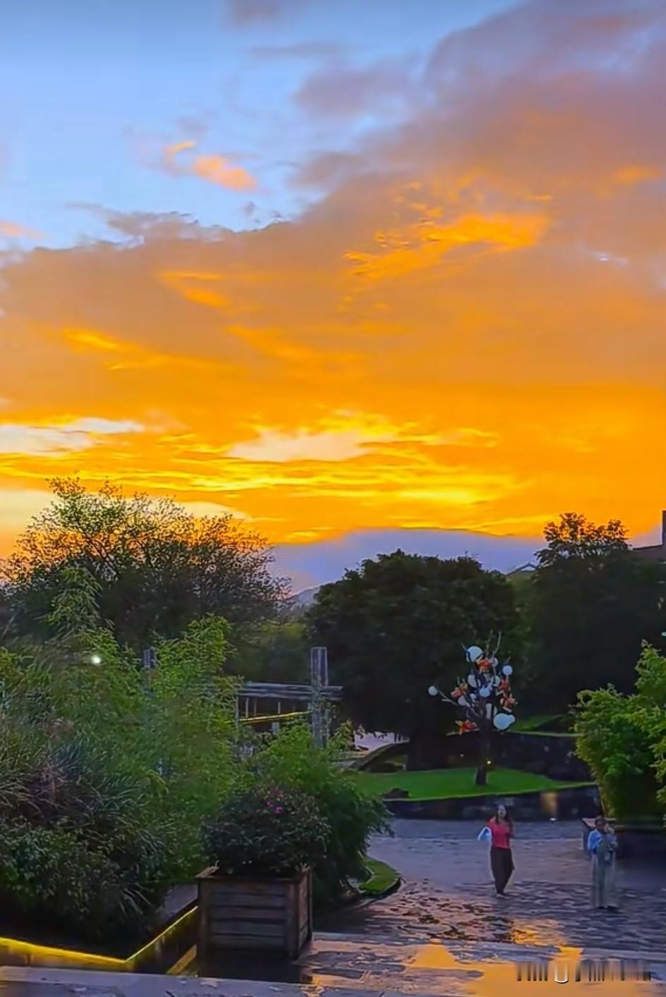 秋日随手拍秋风轻抚，枫叶舞动，一抹夕阳映晚霞，秋韵如画。