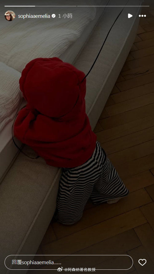 哈弗茨妻子索菲娅-韦伯更新社媒晒照 英超联赛 阿森纳著名教授