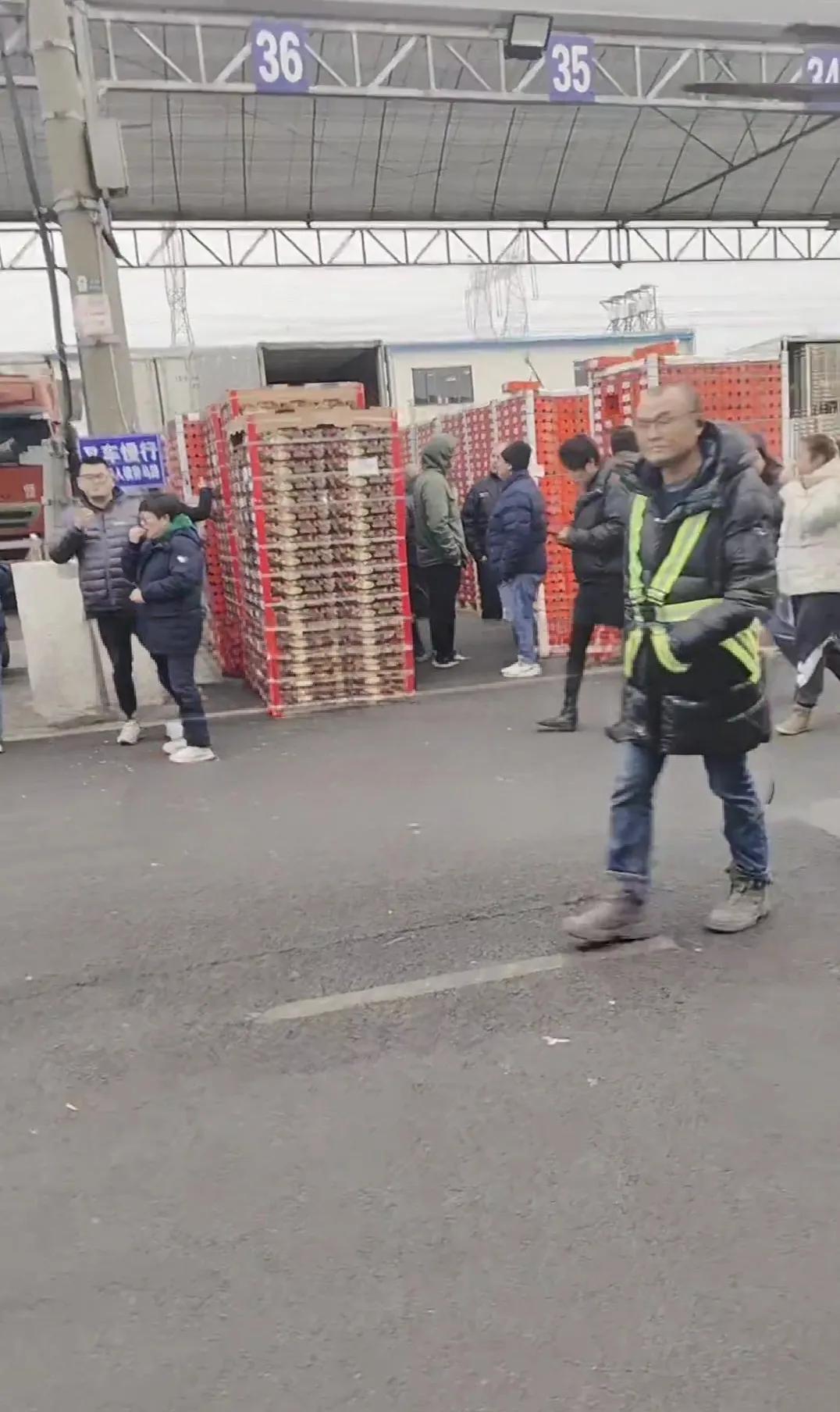 车厘子的水果商坐不住了，都快年三十了，水果市场仓库的车厘子还是满满当当的。那些车