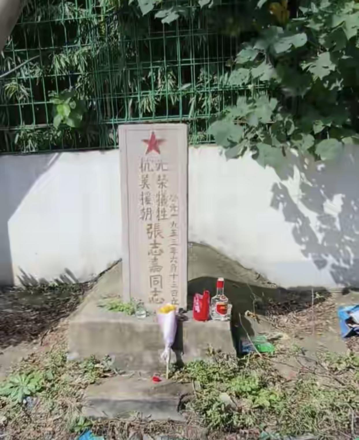 上海嘉定抗美援朝烈士墓被围墙压住，看着又气愤又蹊跷，从四周杂草丛生来看完全没有维