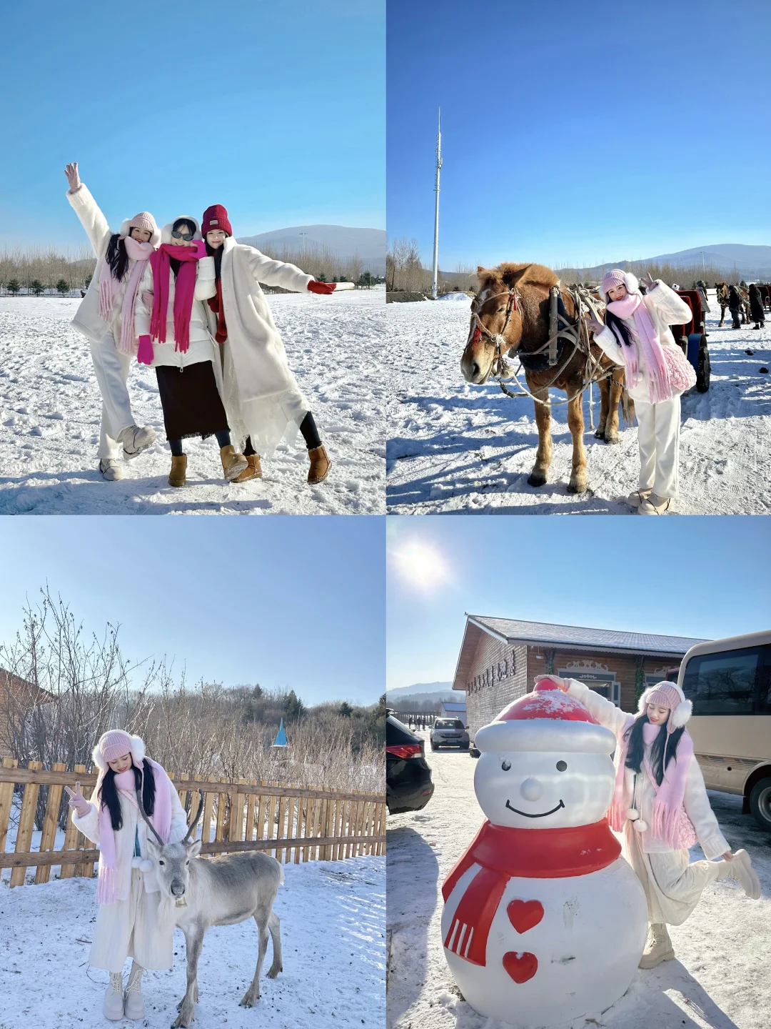哈尔滨｜在亚布力体验马拉爬犁和喂驯鹿啦～🫎