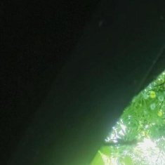 #每日一善[超话]#每一处风景都是生命的驿站，用乐观的心看待万物，心则如山花般烂