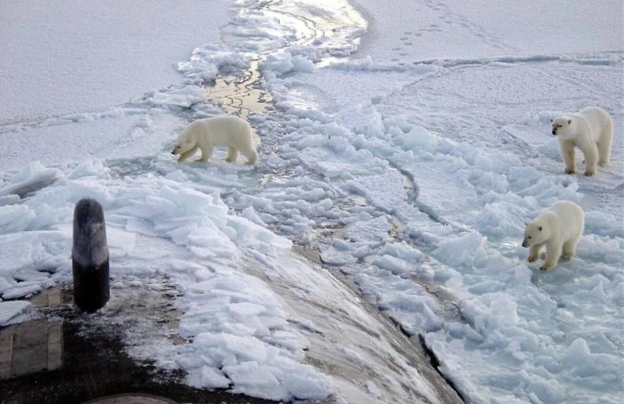 默茨的眼泪是不是鳄鱼的眼泪？
        倘若北约与欧盟未曾在背后煽风点火，