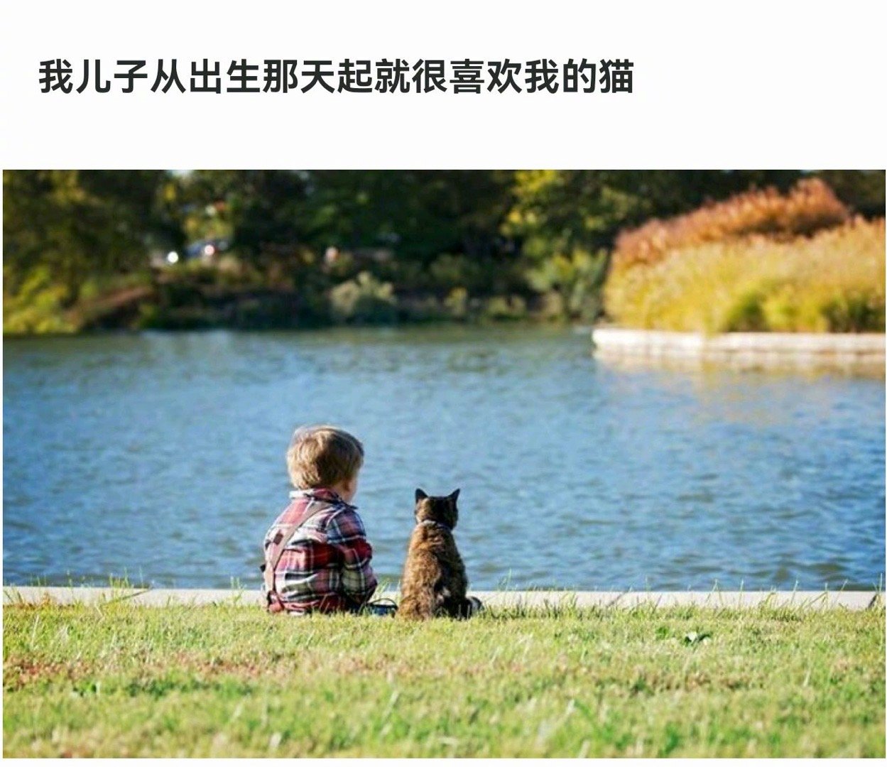 猫猫保姆带娃实录，可爱能量当场翻倍了[抱一抱] ​​​