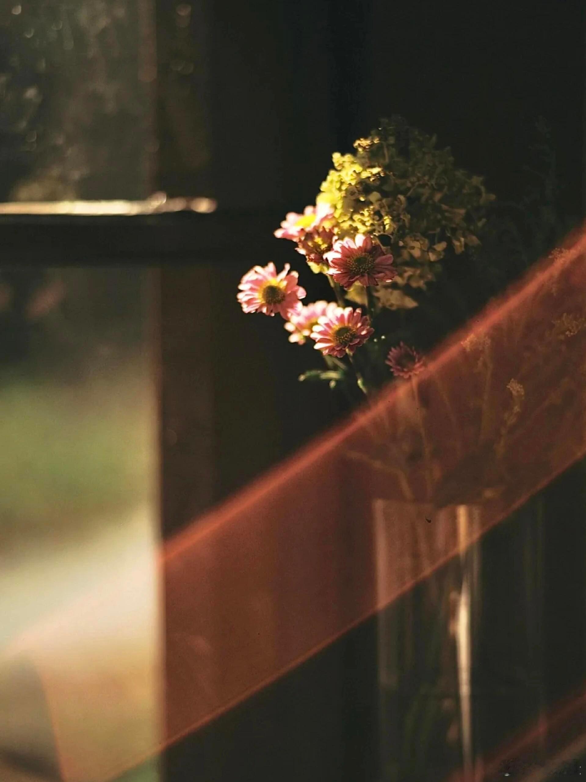 当你特别爱一个人的时候，你就很难再从他身上得到快乐了，因为会多疑，会猜忌，会胡思