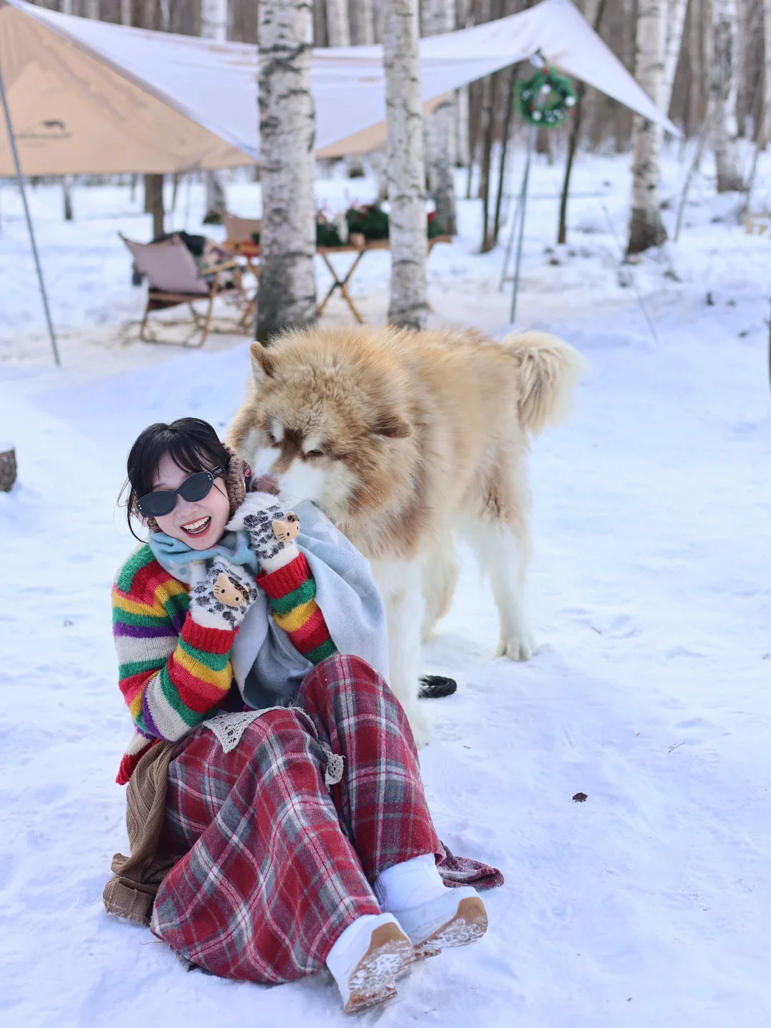 长白山小狗陪玩🐕约到了网红小狗香菇！