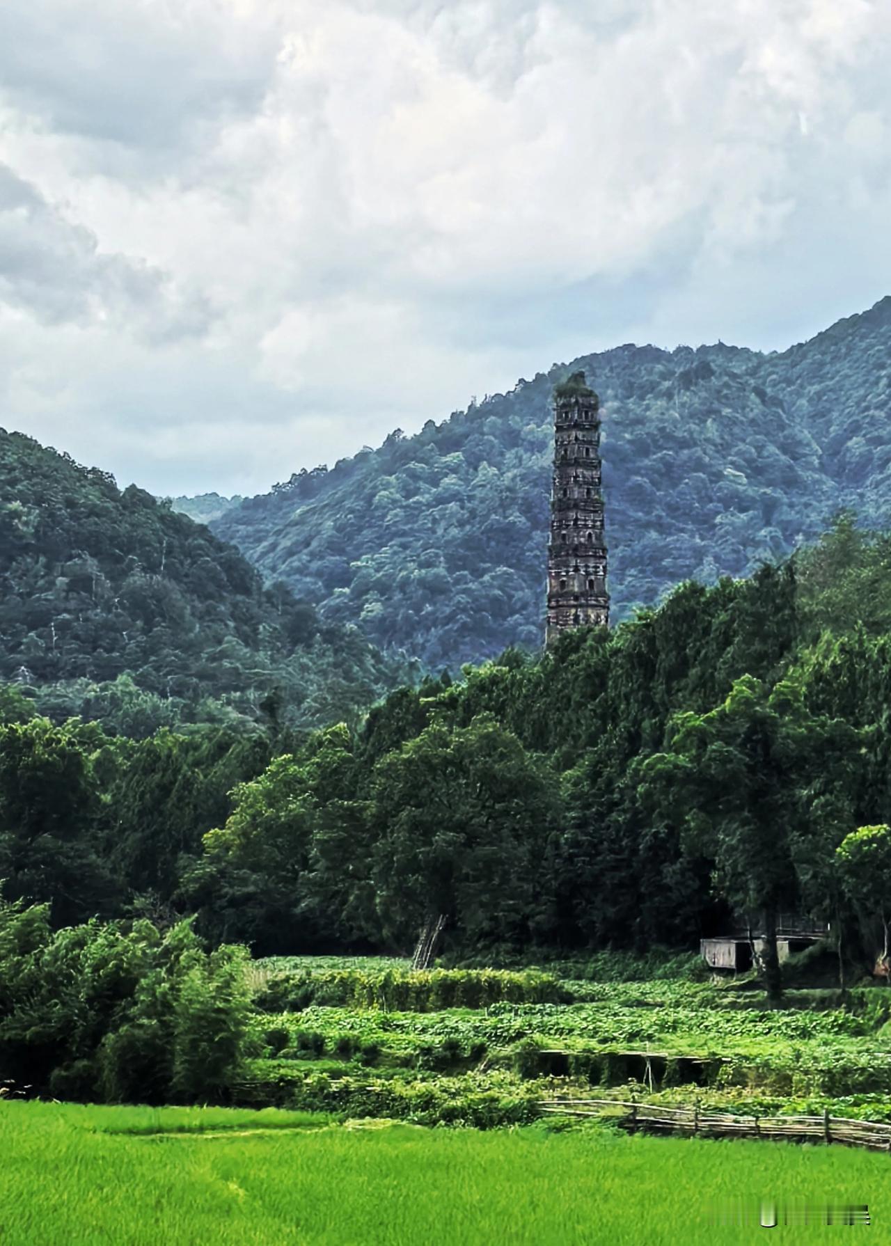 在天台山的餐厅吃了顿可口午餐后，接着就要去游览千年古刹国清寺了。

国清寺，是座