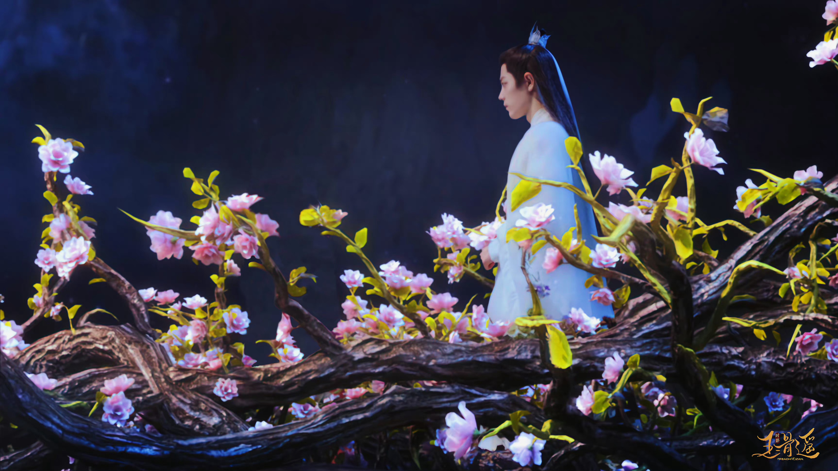 #时影 空桑一哥# xz #玉骨遥# 好美呀，定情之心桥[抱一抱]所谓心花怒放就