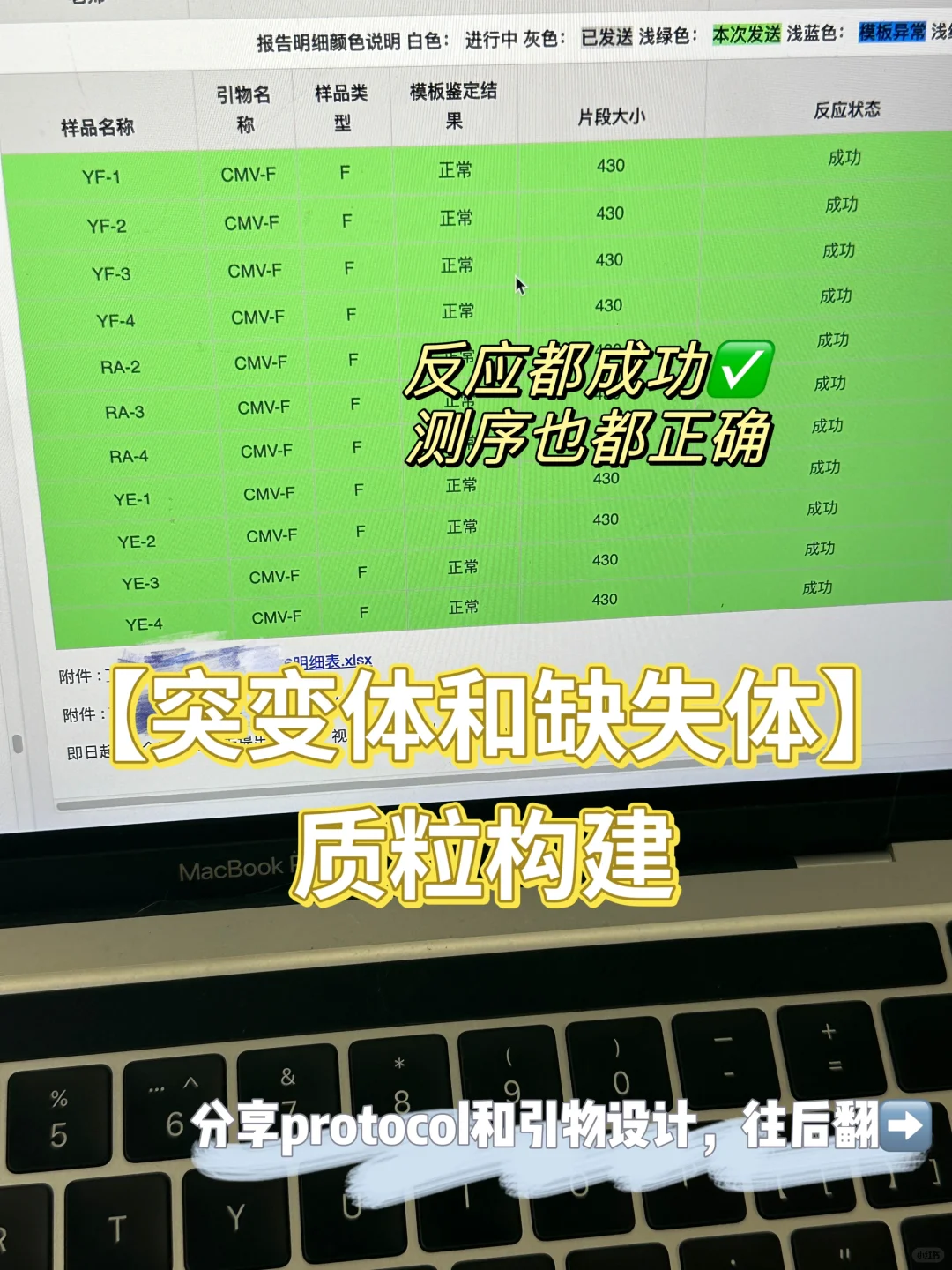 【突变体and缺失体】质粒构建protocol🌟