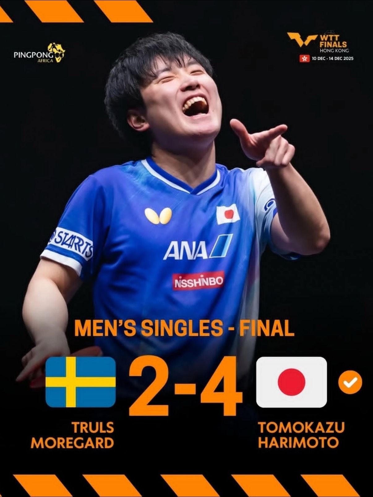 八方来贺🎉🎉🎉 