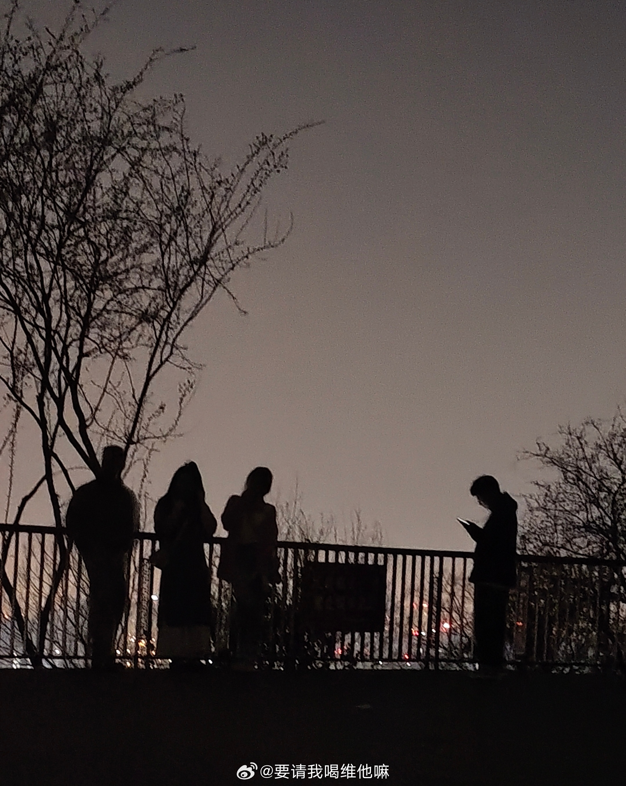 路人小姐姐投喂的半夜三点四人一狗登顶大蜀山群像照 