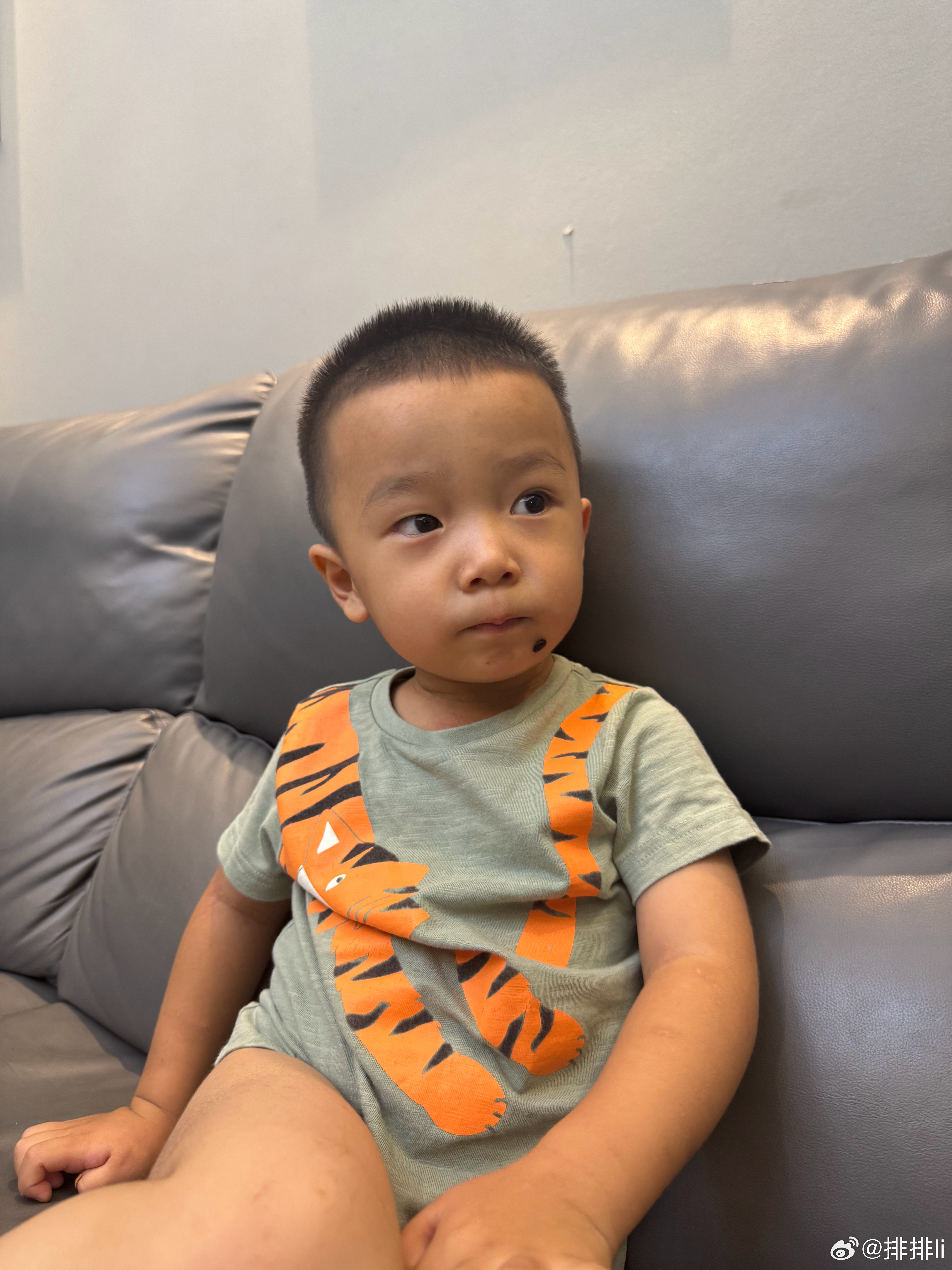 一粒西瓜籽 