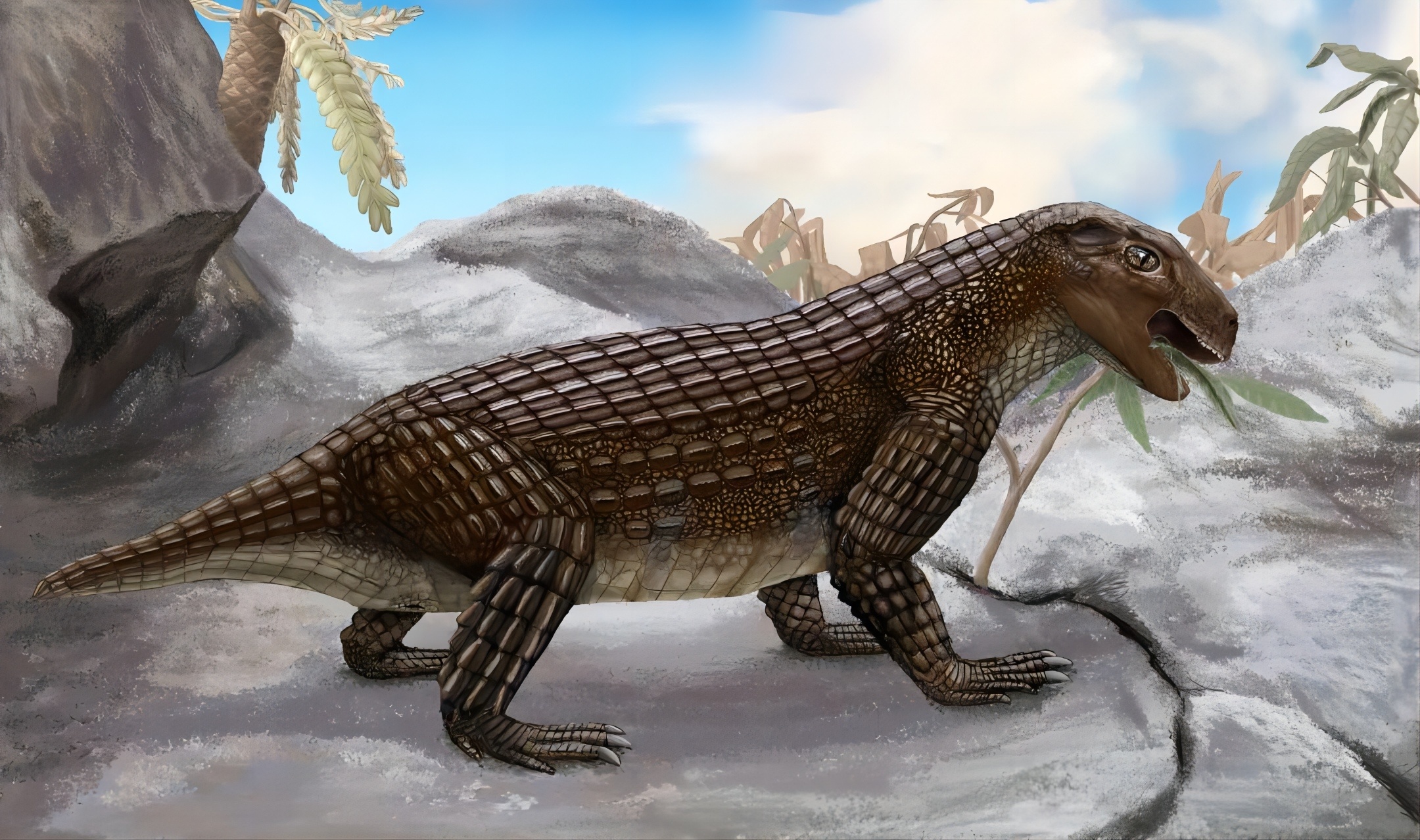 #你的桌面恐龙博物馆# 第二十四课 狮鼻鳄（三）Simosuchus 在室内饲养