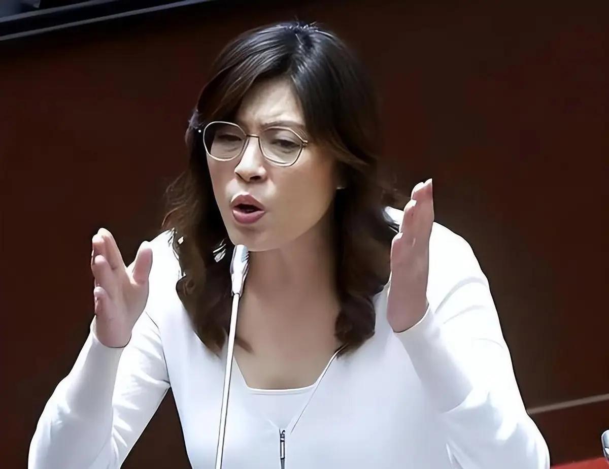 台湾蓝营终于摊牌了！郑丽文公开拒绝“一国两制”，不再模糊回避。这记重拳打向何方？