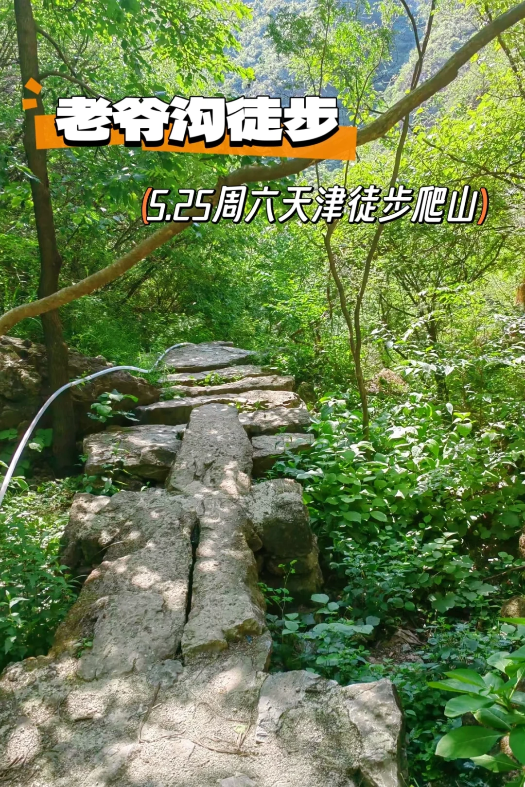 天津徒步空中铁梯栈道