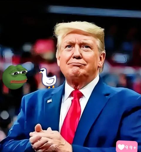 频频拖欠联合国会费的美国居然打算还钱了！这或许不是美国良心发现了，而是在用小钱换