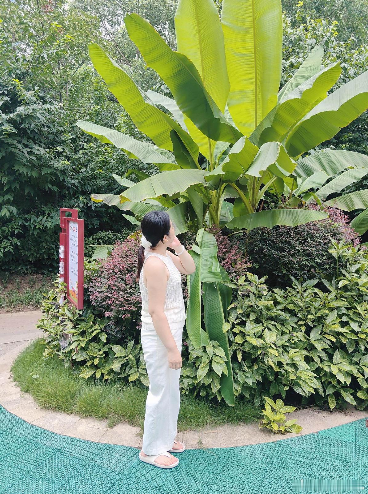 哪里需要什么一年半载。你太小瞧我了。 漯河·昌建·东外滩