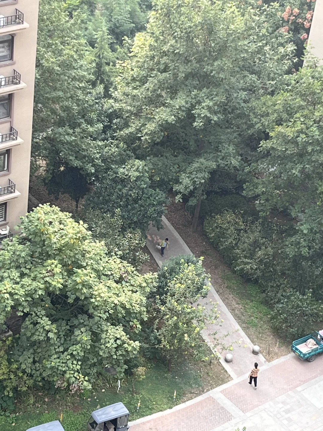 楼下的风景