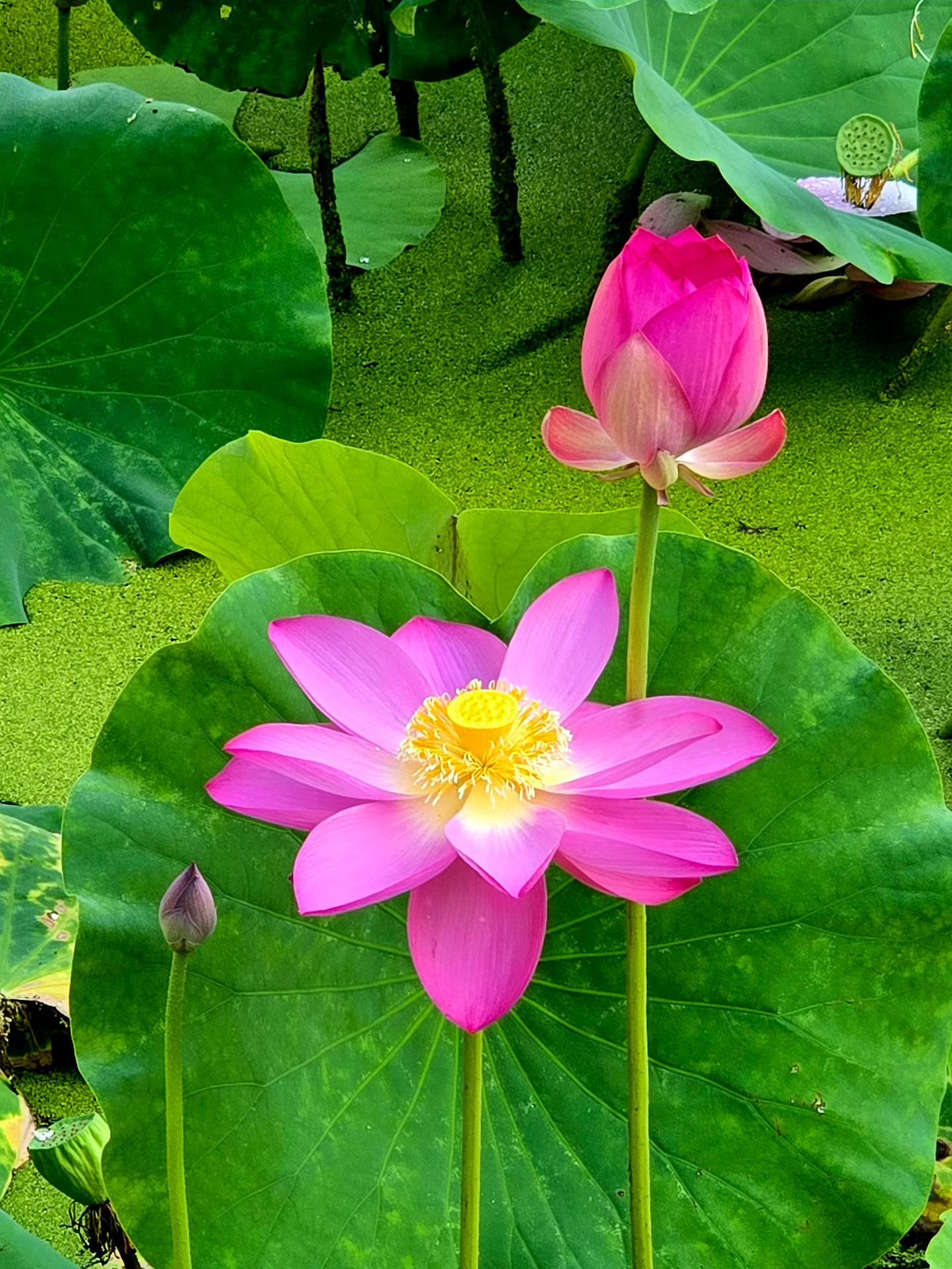 师说：……生，不仅仅是出生，包括我们的生活，包括我们的身家利事，我们的生活、我们