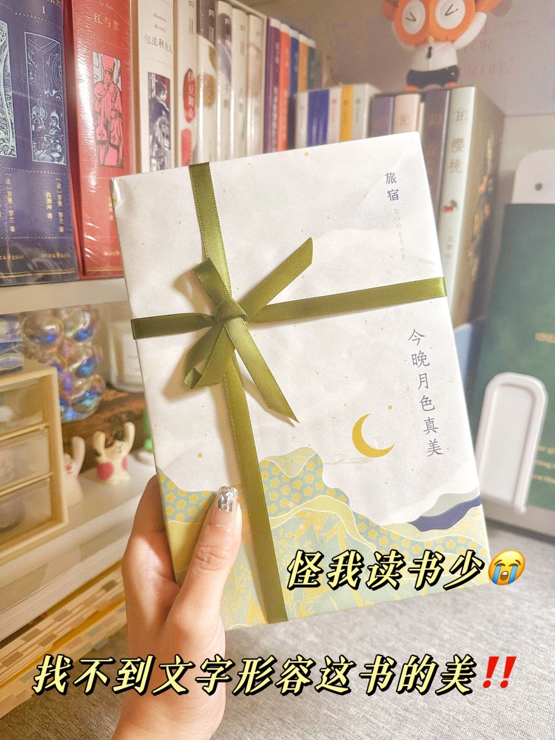 美到不像话！今年读过最爱不释手的一本书！