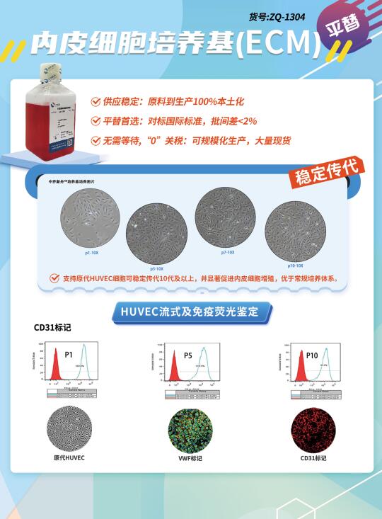 中乔新舟内皮细胞培养基试用装大量供应！