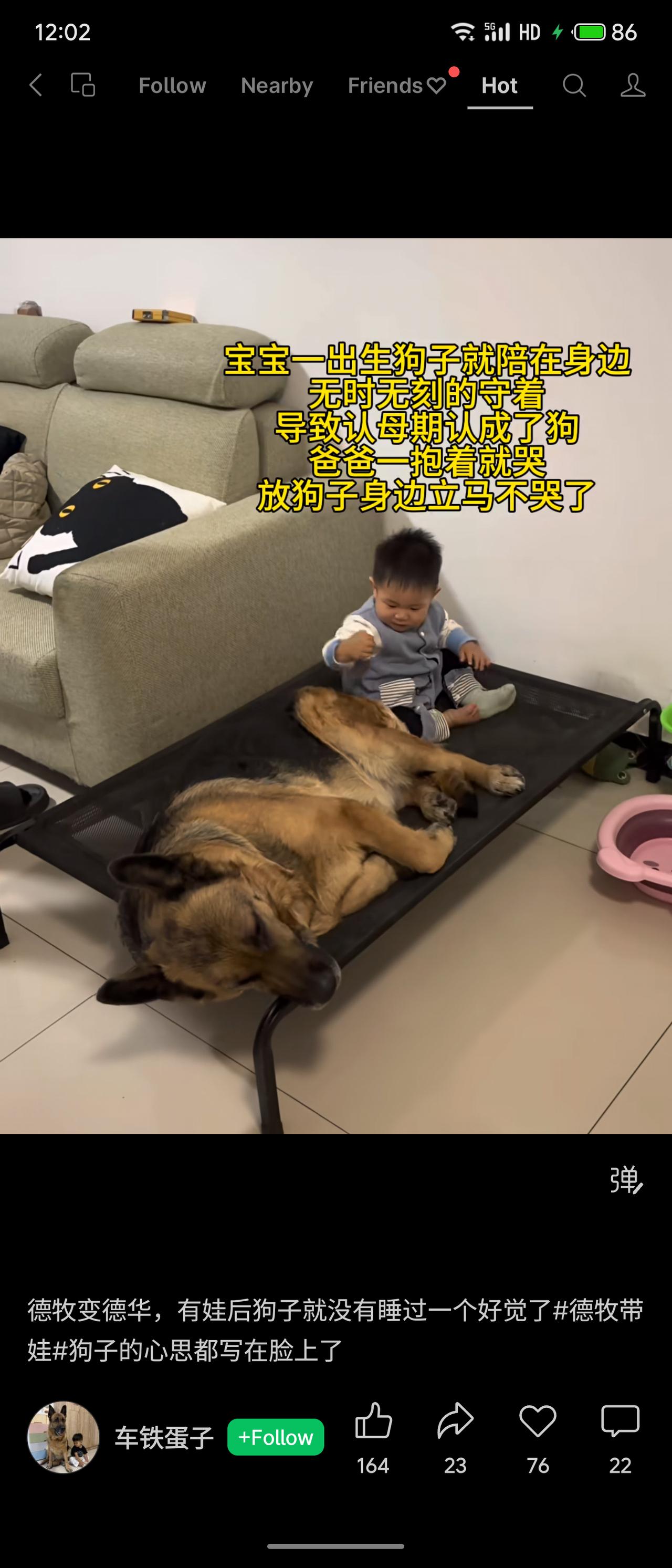 宝宝一出生就有德牧时刻守护，导致认母期错认成狗。爸爸一抱就哭，放狗身边立刻安静。