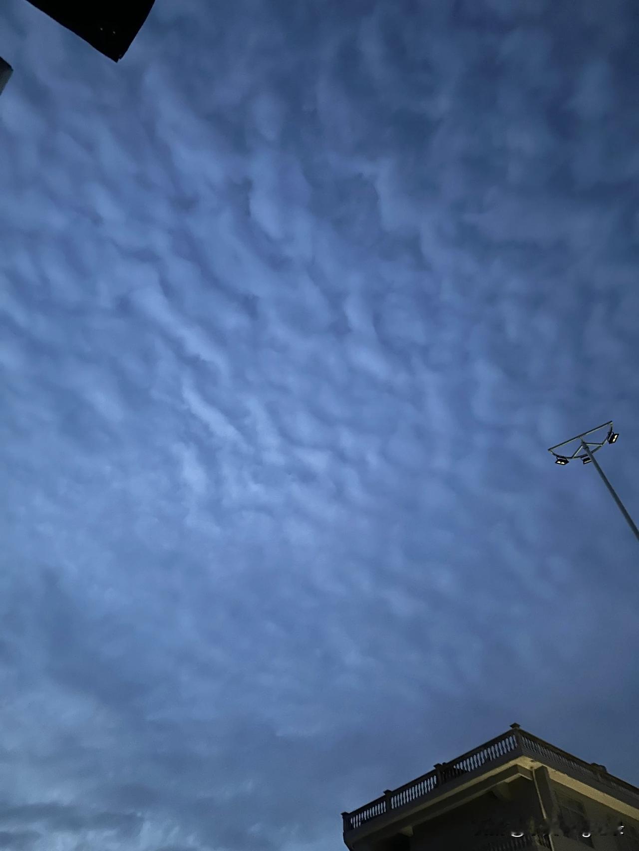 这鱼鳞云吗？还是什么，好像有点怪异