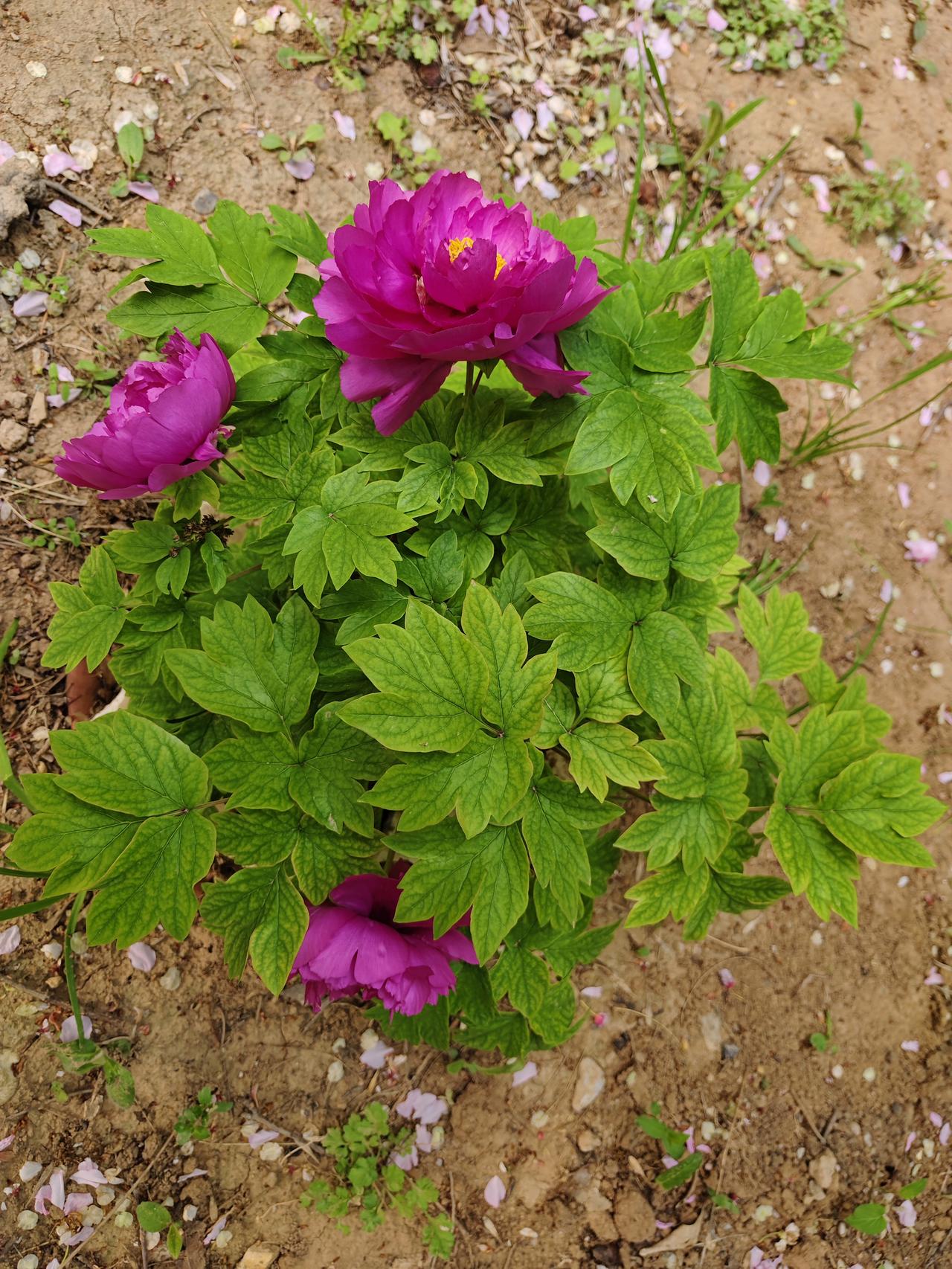 友人王先生人生心得：
人拼到最后的永远是良心
人一定要有良心，虽然良心不值钱，但