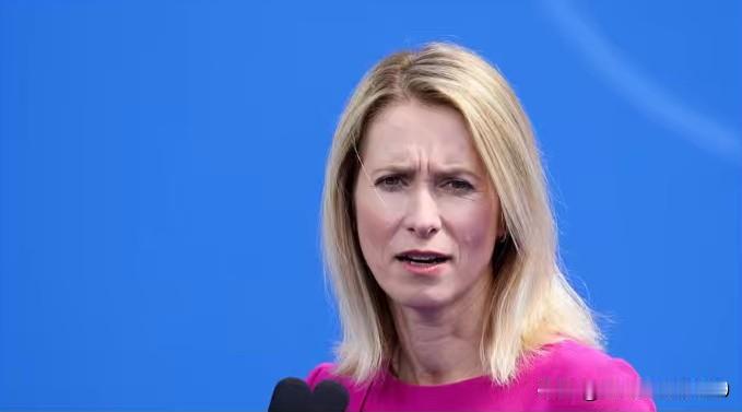 格局太小了，美国觊觎格陵兰，欧盟却把目标对准了中国，欧盟外交事务与安全高级代表卡