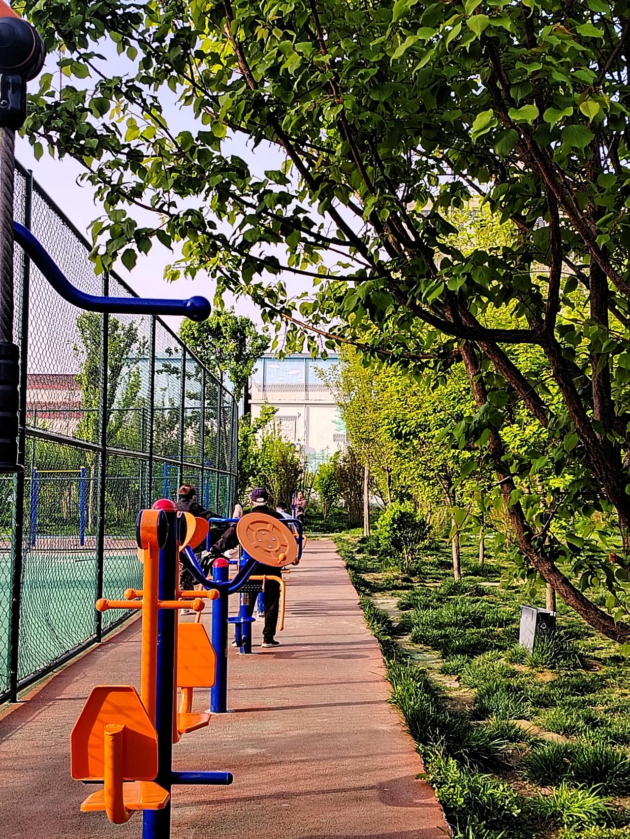 春日生活打卡季，今天早晨起床后，就去了沈丘千字文公园出去散步锻炼身体，在沈丘千字