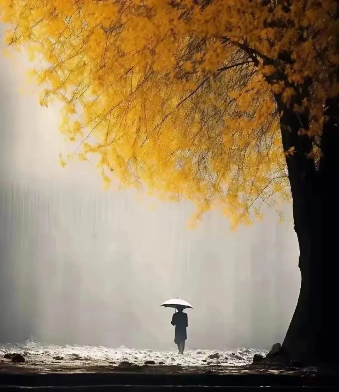 舞台上的戏是假的
观众是真的。

人生的戏是真的
观众是假的。

生活中充满了很