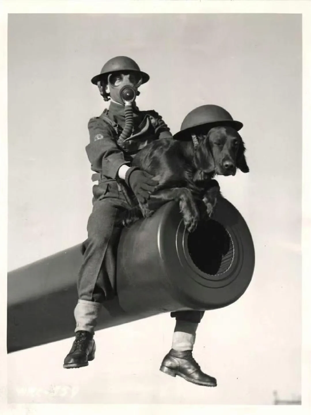 1941年，戴着防毒面具的加拿大水兵和他们的舰狗（和舰猫一样都是船上的...