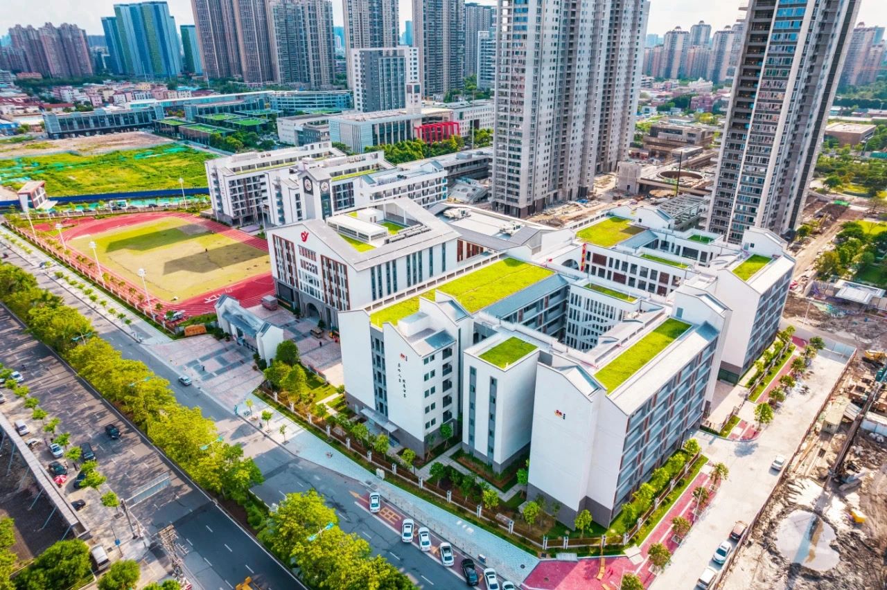 不鸡娃的放羊家庭，该挤进千灯湖吗？