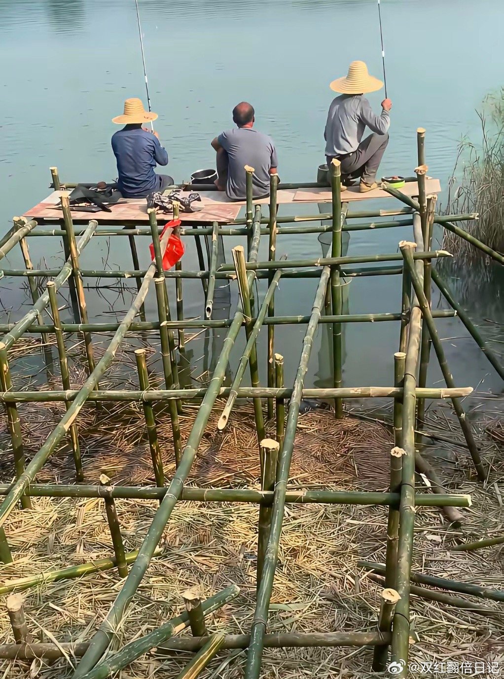 太有才了，搭了这么好的钓台 