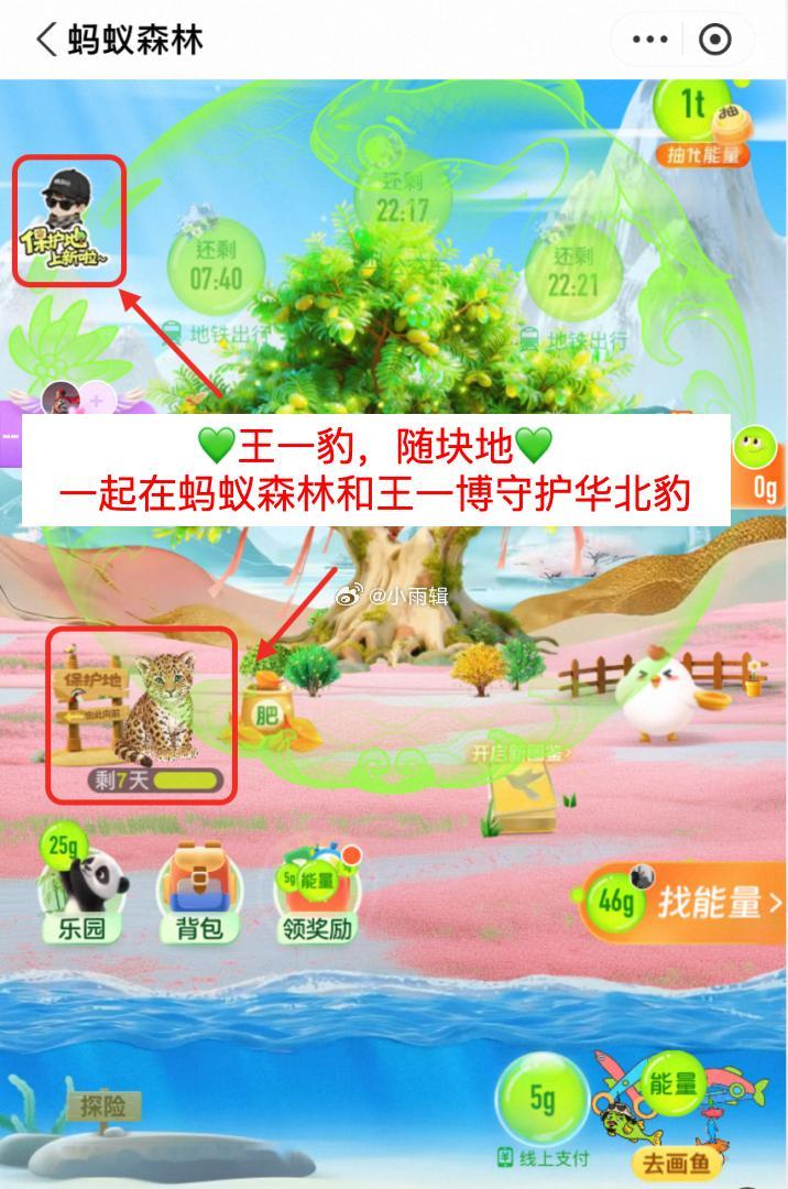 王一博的名字真出现在摄影团队名单里他给拍到的小豹子取名豹司令，大概是盼着它能威风