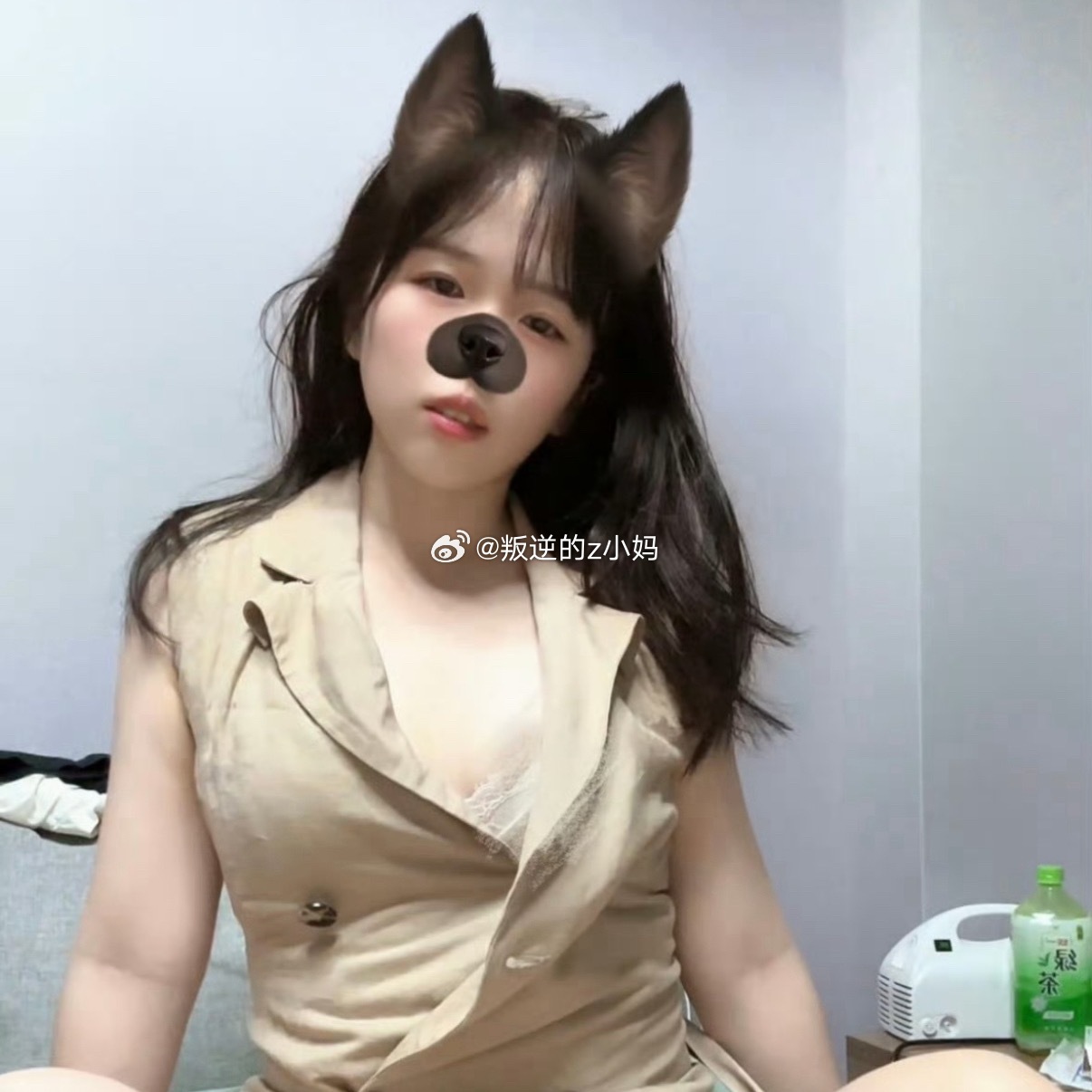 你是不是傻呀喜欢一些胆小鬼 