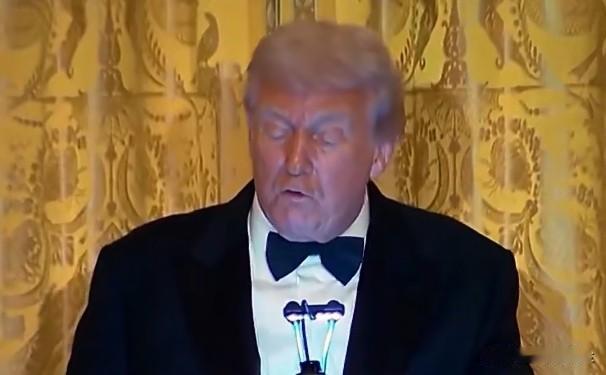 美国中东研究所巴以事务项目主任哈立德·埃尔金迪表示，特朗普政府推动的“和平委员会