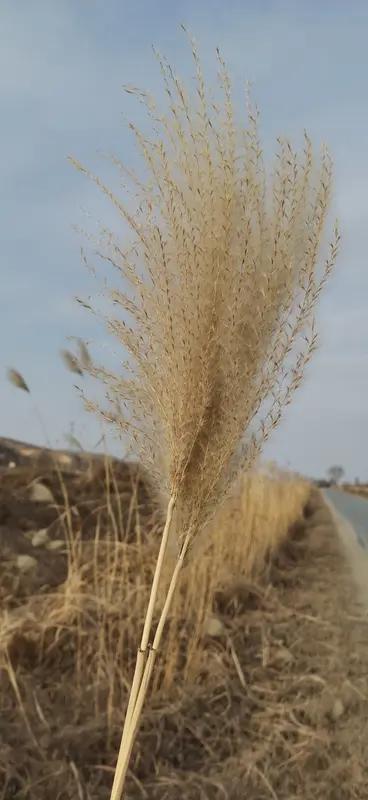 做一个正直的人真的吃亏吗？我看未必。生活里，很多人觉得坚守原则会吃亏，拒绝投机取
