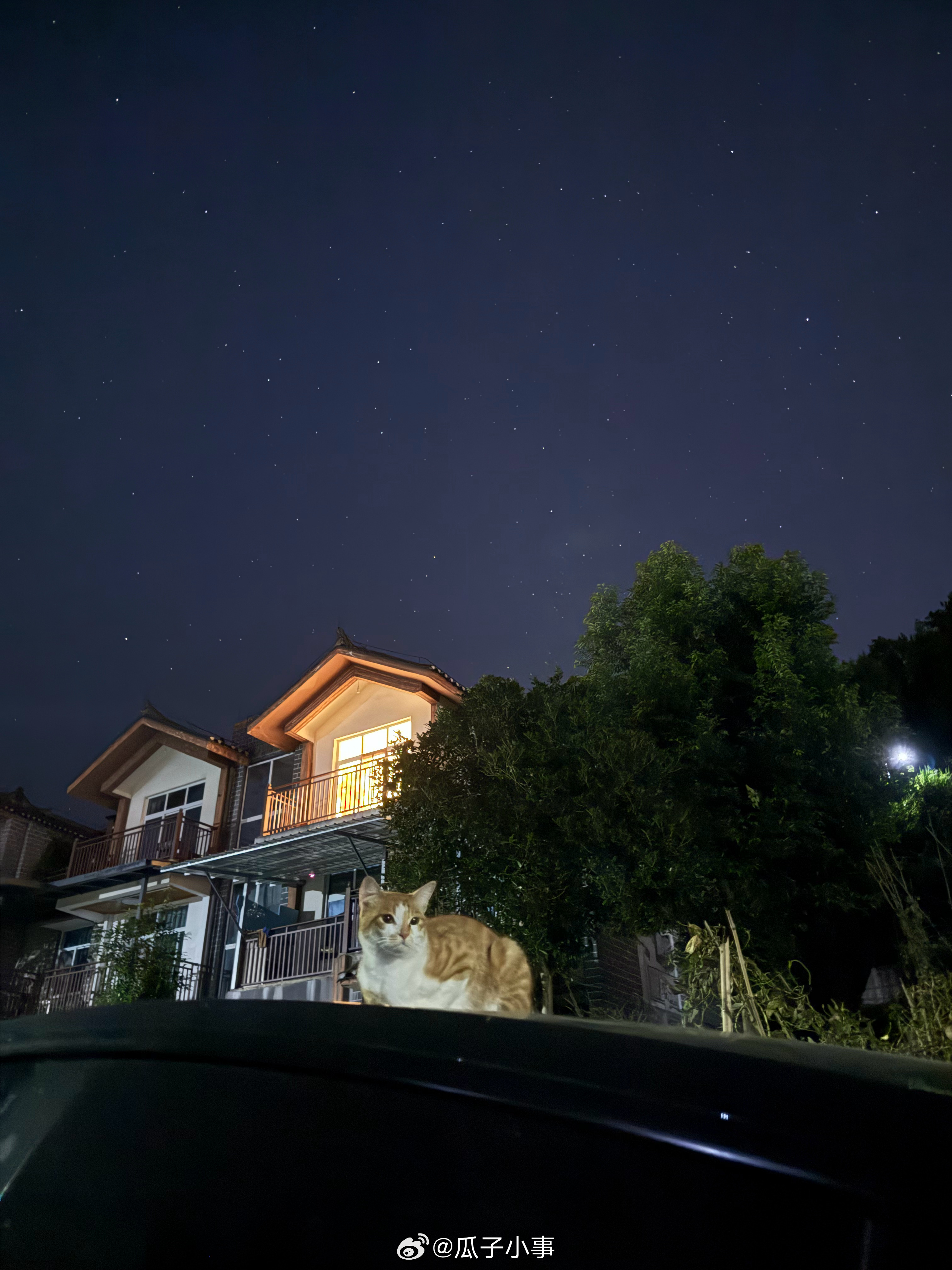 七月晚风，满天星子，一盏灯火，一只橘猫，慢度夏夜时光。 