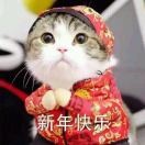 小光光热逛体育