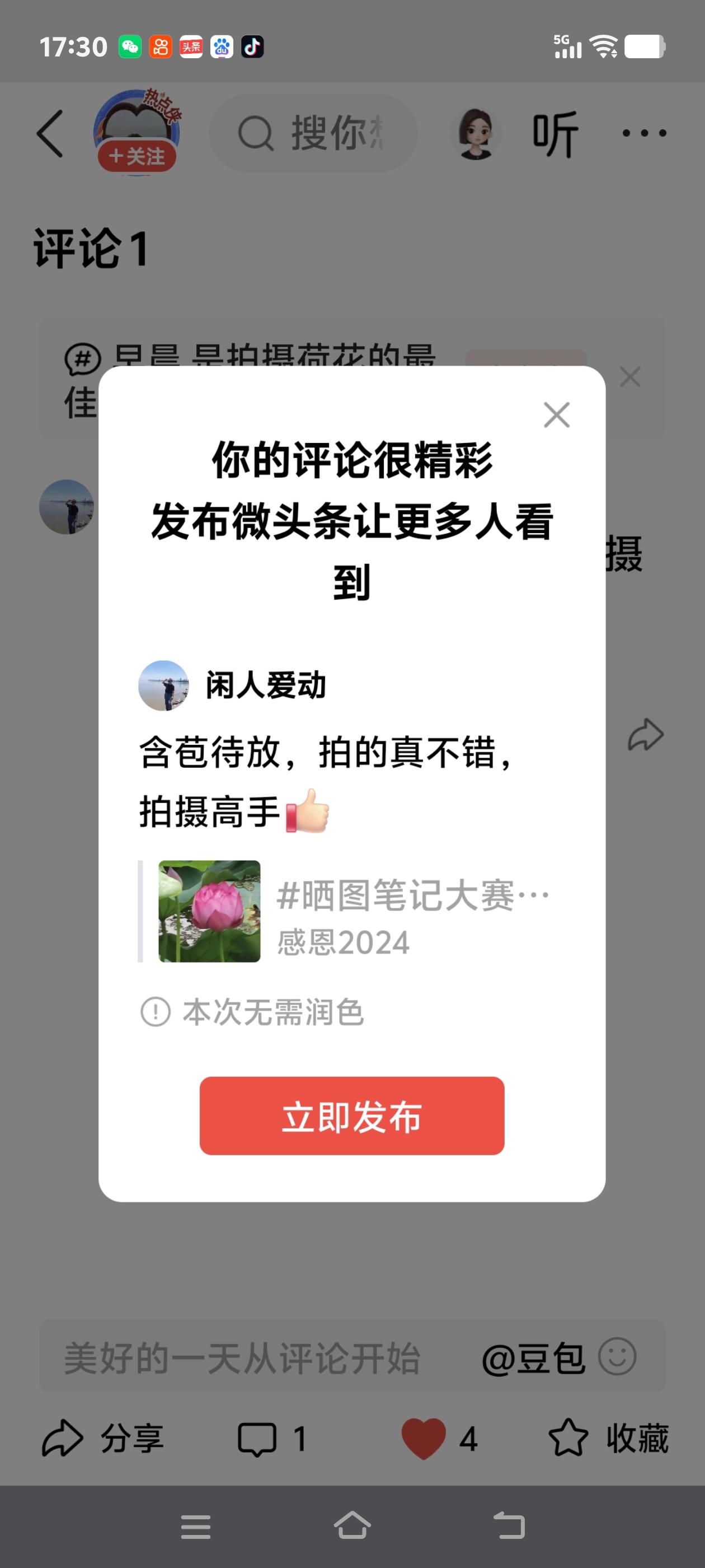 含苞待放，拍的真不错，拍摄高手[赞]