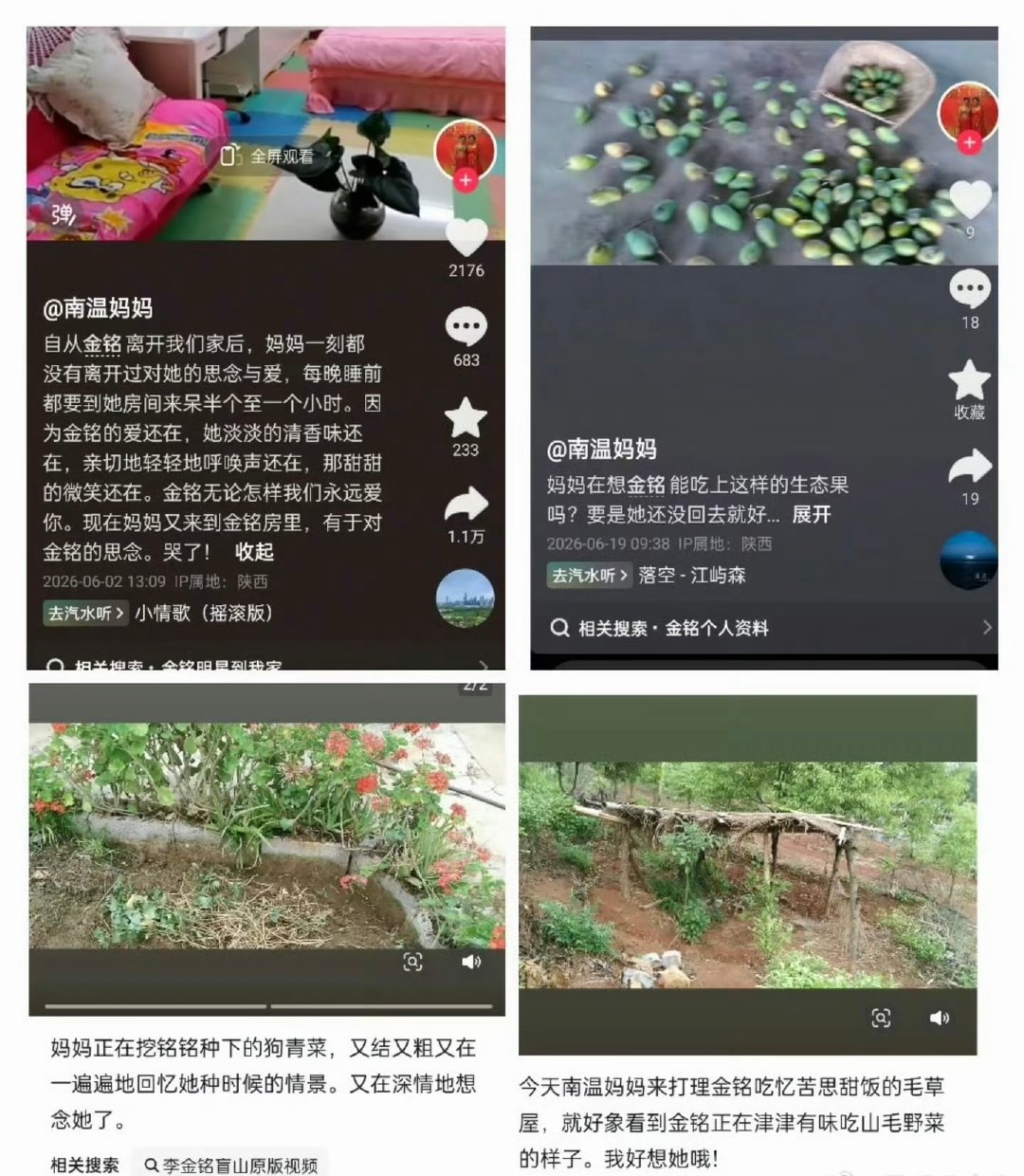 李金铭下乡体验生活做临时儿媳李金铭下乡体验生活做临时儿媳，怎么就遇到了这么一家子