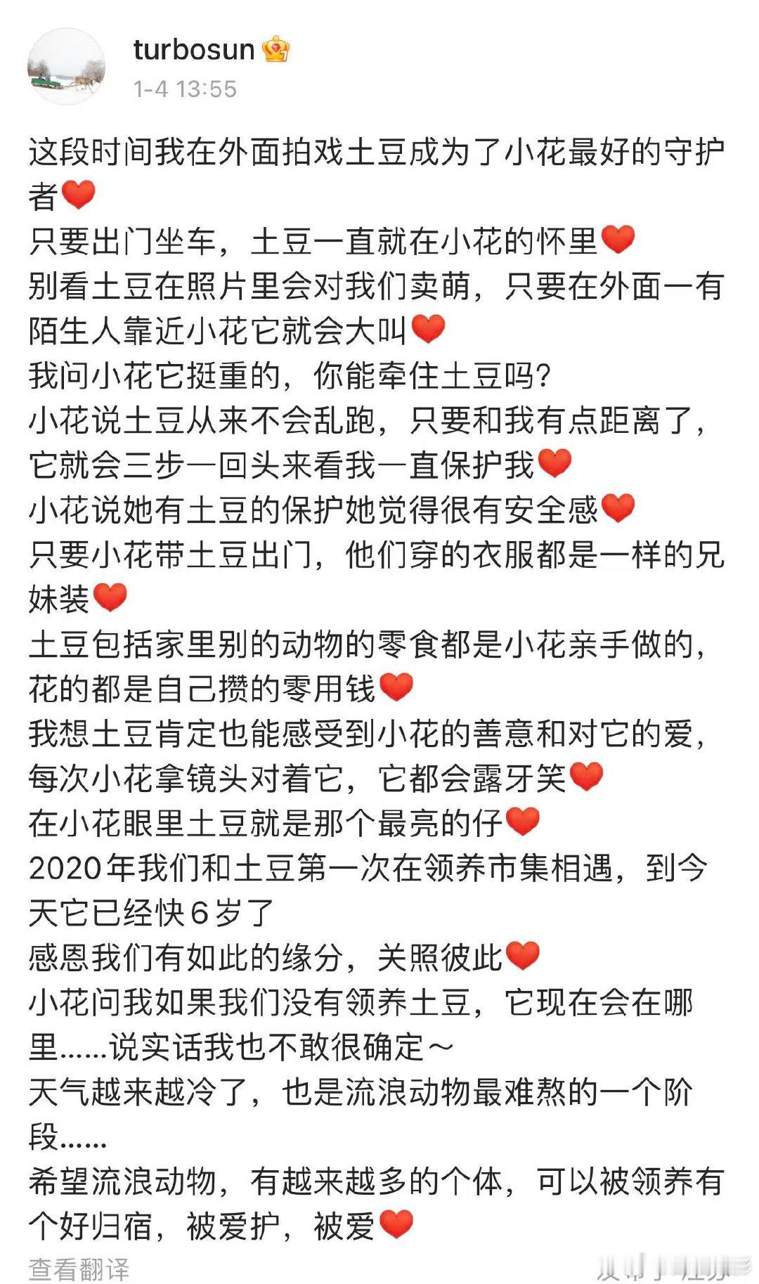 孙俪分享土豆和小花的故事孙俪希望流浪动物有个好归宿 孙俪分享土豆和小花的故事，希