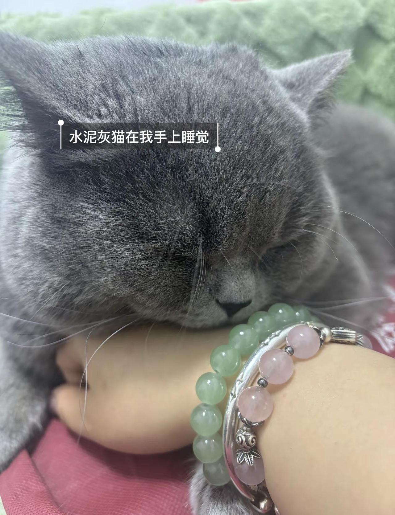 闹呢 我不比他们会报备啊中药爱好者