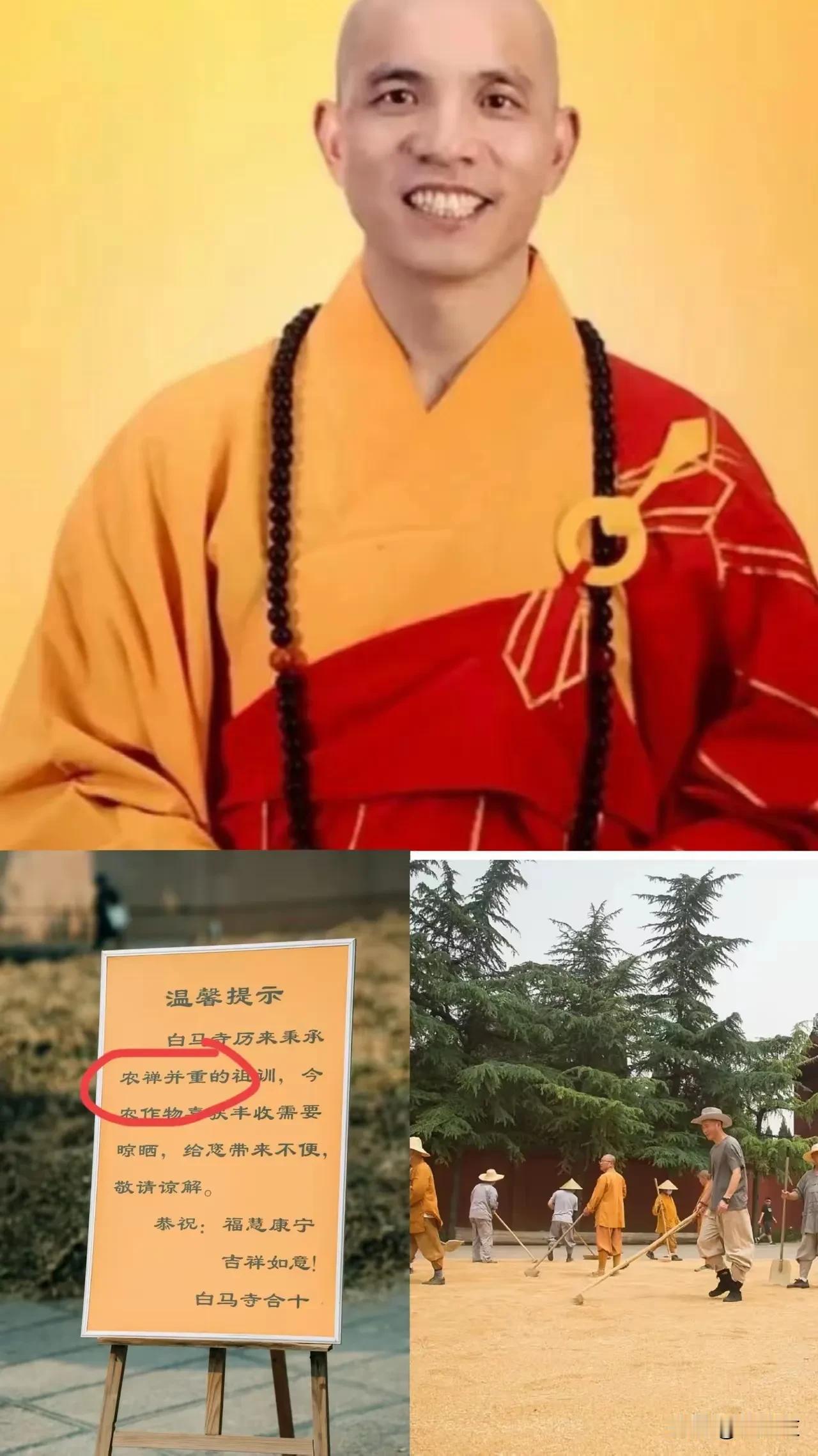 看这张脸面，看这眼神，友善，又有一点小小的腼腆，眼睛深邃而洞悉一切。
这个慈眉善